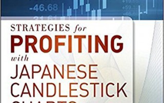 Strategies for Profiting With Japanese Candlestick Charts by Steve Nison (2011-02-02)